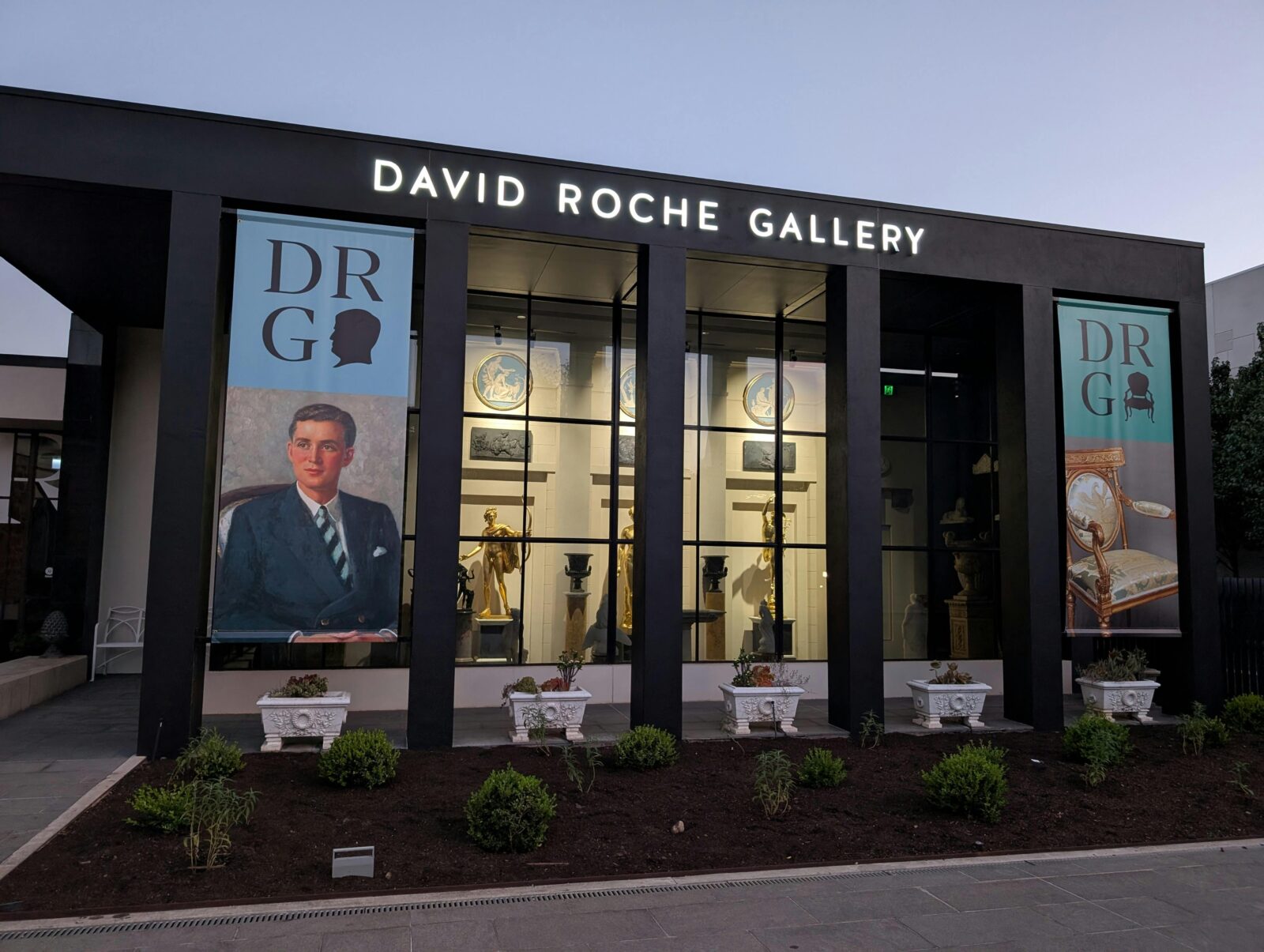 David Roche Gallery