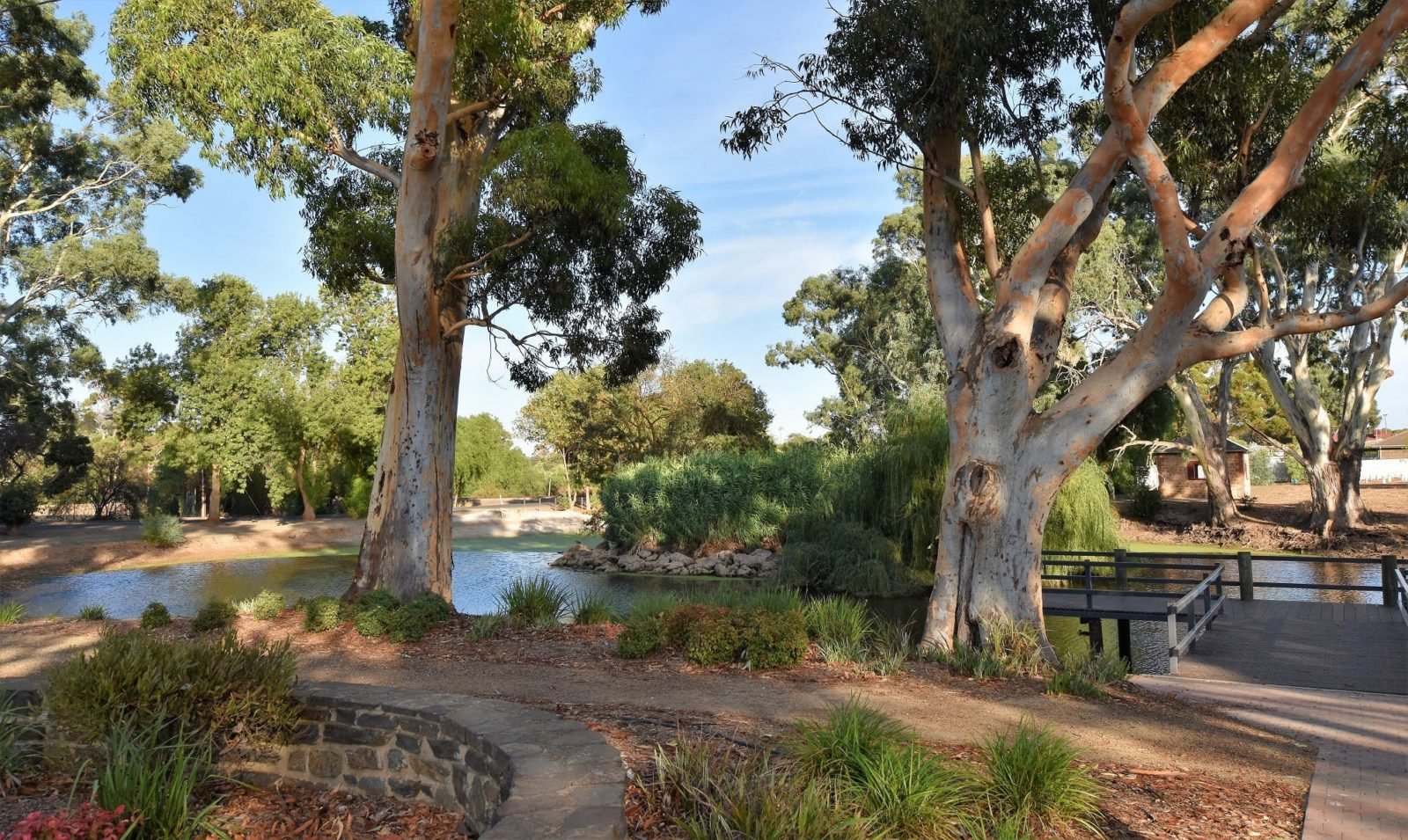 Davidson Reserve Pond