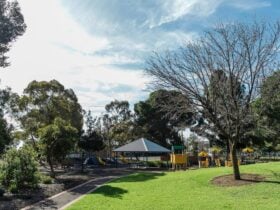 denise-norton-park-playground