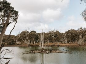 Duck Lagoon