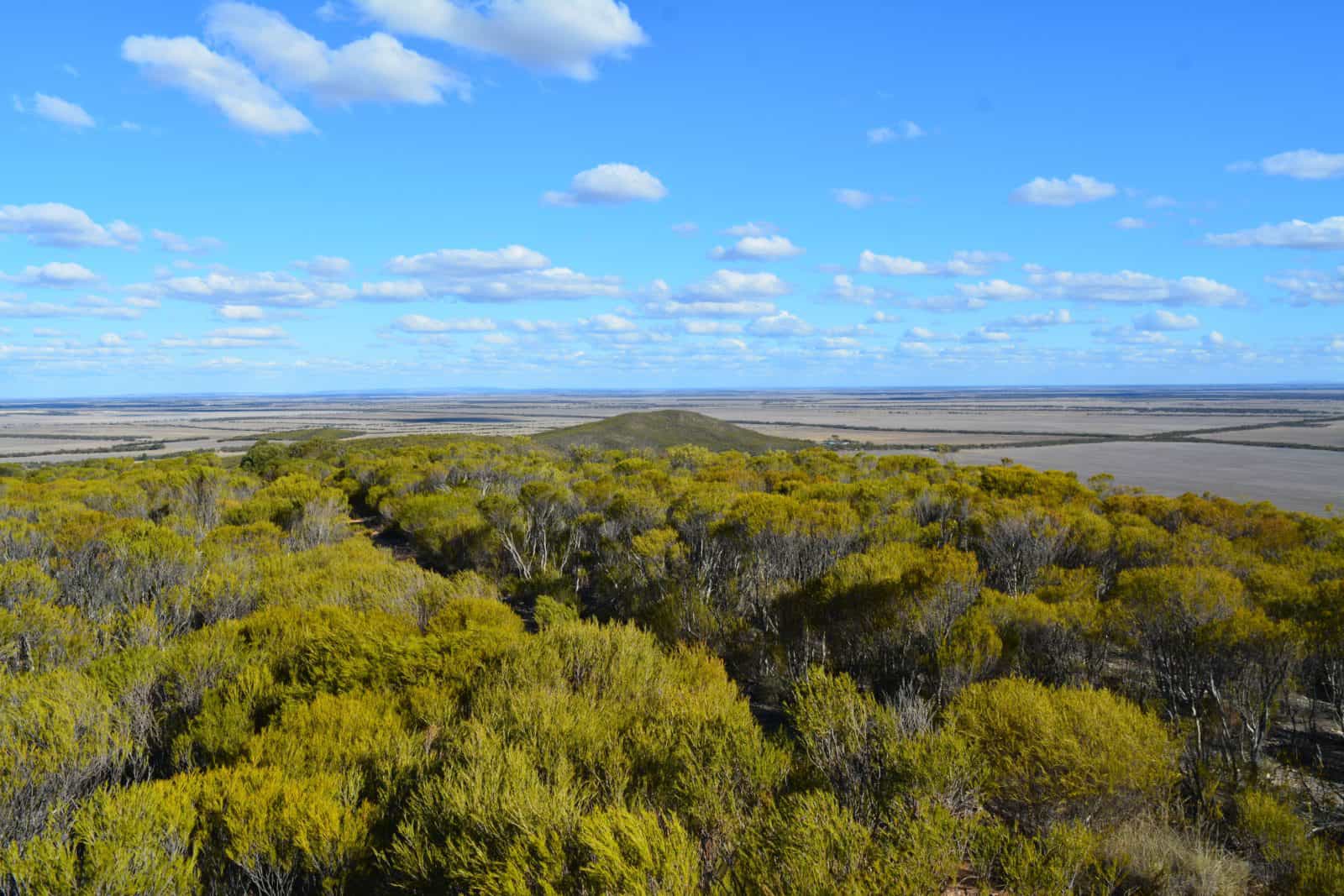 Views at the Lookout