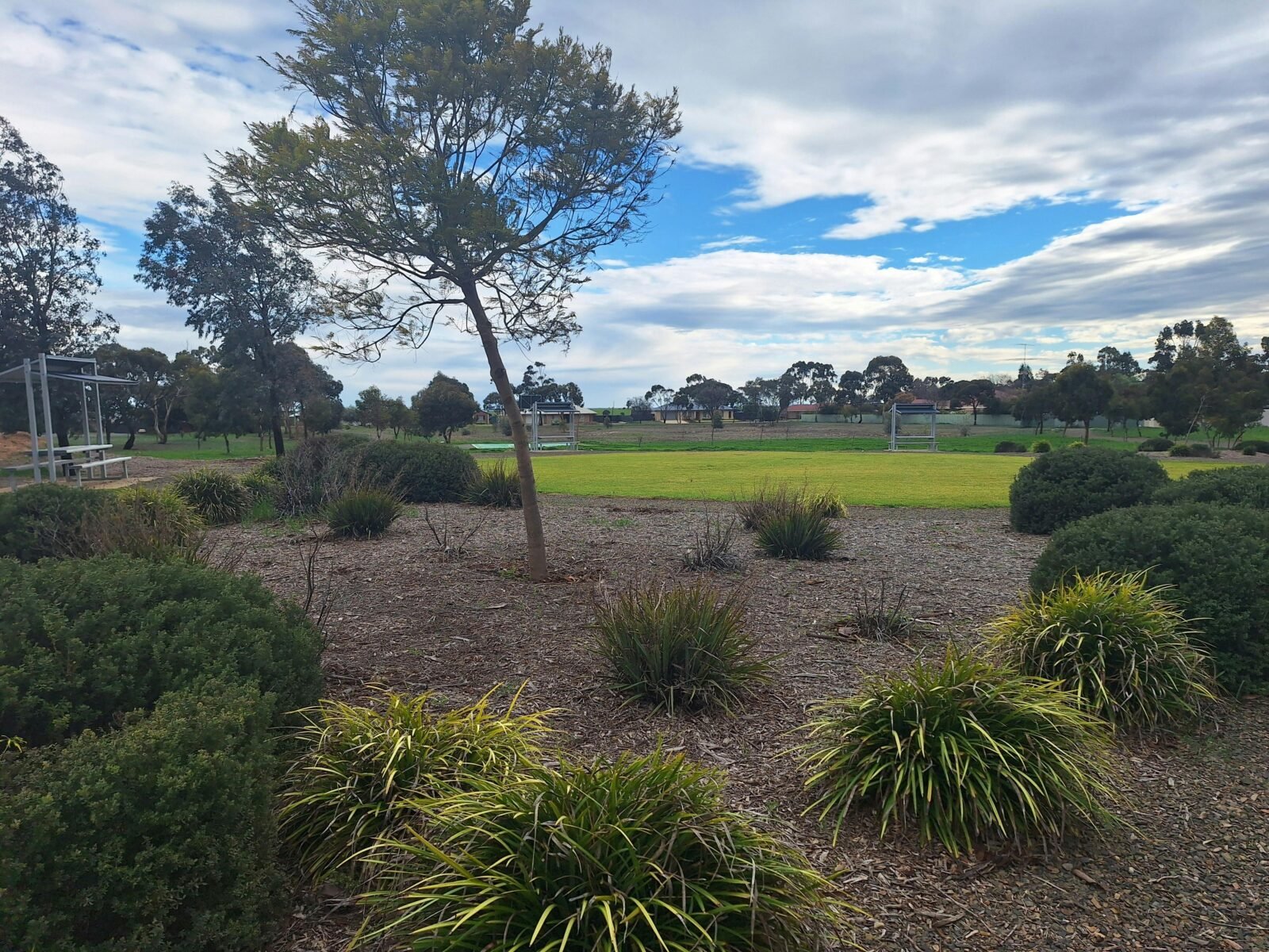 Fiddlewood Drive reserve