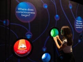 MOD. Museum - a person looks into a glowing green circle