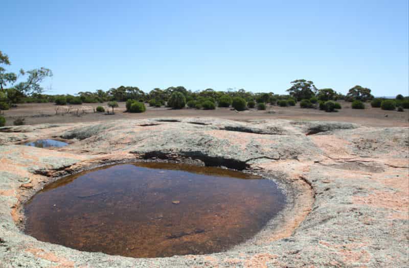 gawler-ranges