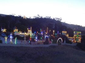 George Turners Castle Lights