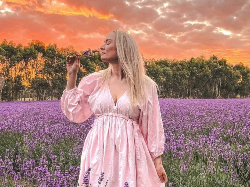 Women holding bunch of lavender in lavender field