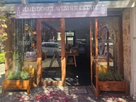 Front of shop