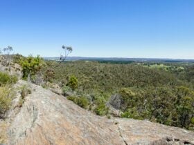 Hale Conservation Park