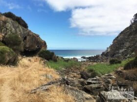 Har­veys Return Hike - Flinders Chase National Park