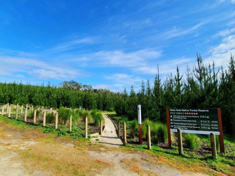 Entrance walk way to Hells Hole Native Forest Reserve