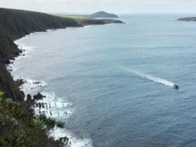 Waitpinga Cliffs, Rosetta Head in distance