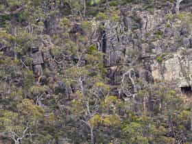 Horsnell Clifs