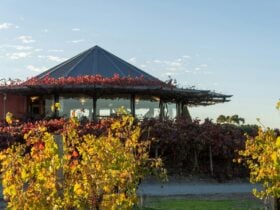 Hugh Hamilton Wines Cellar Door