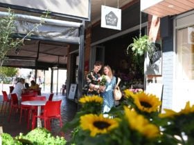 The Flower Hutt - Hutt Street