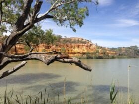 Murray River Booky Cliffs