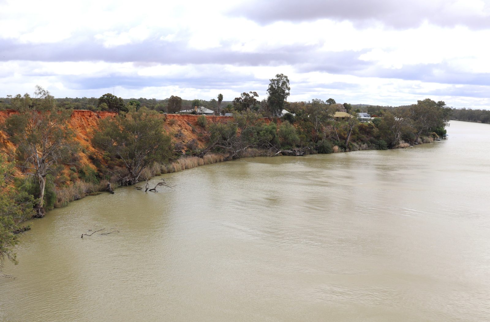 The view from Kingston-on-Murray Bridge.