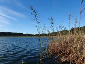 Lake Edward