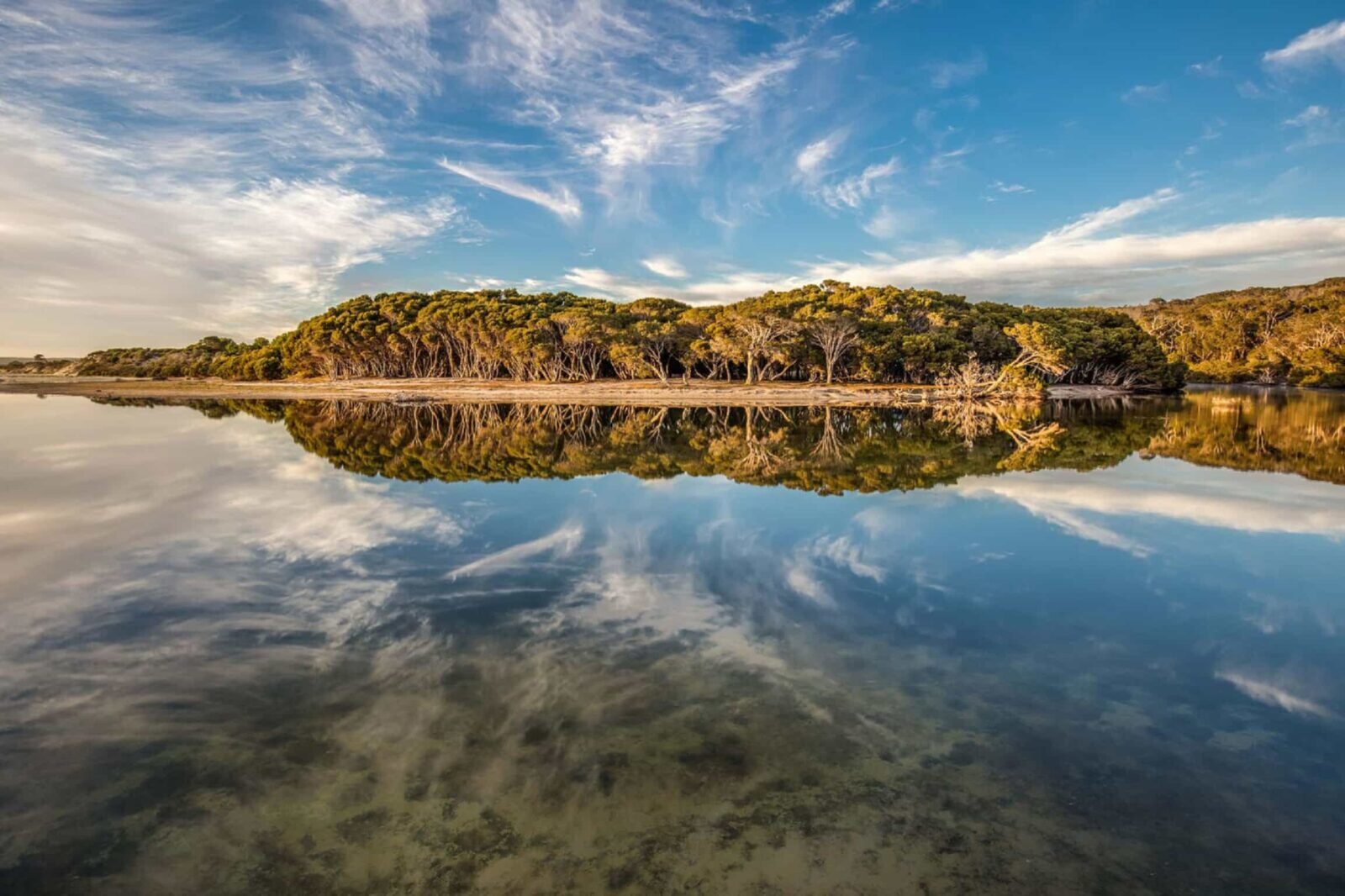 Lashmar Conservation Park