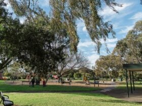 lefevre-park-nantu-wama-playground