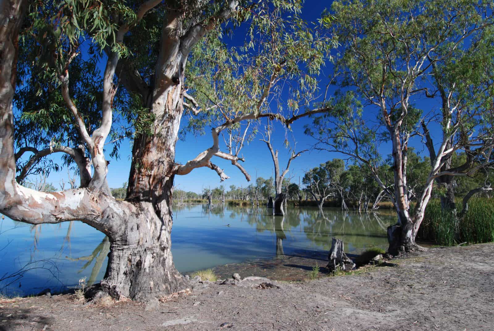 Loch Luna and Moorook Game Reserves