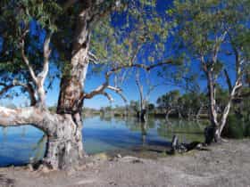 Loch Luna and Moorook Game Reserves