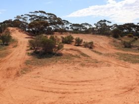 The large hill is a favourite feature of the track.