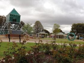 Pioneer Playground