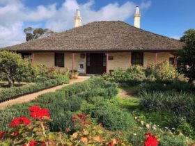 Matta House, Kadina