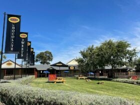 Melba's at Angaston giant connect-4 game!