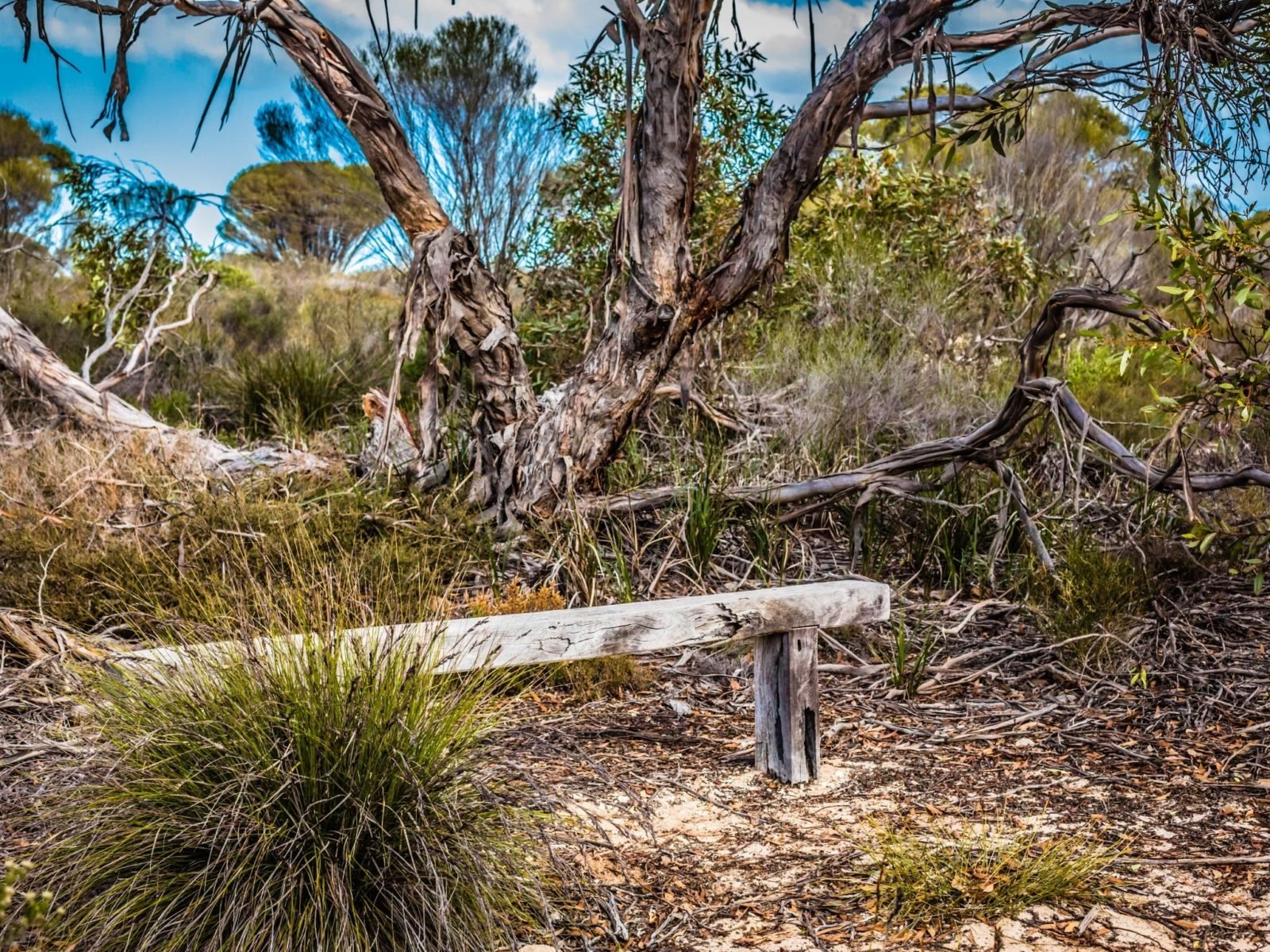 Monarto Conservation Park