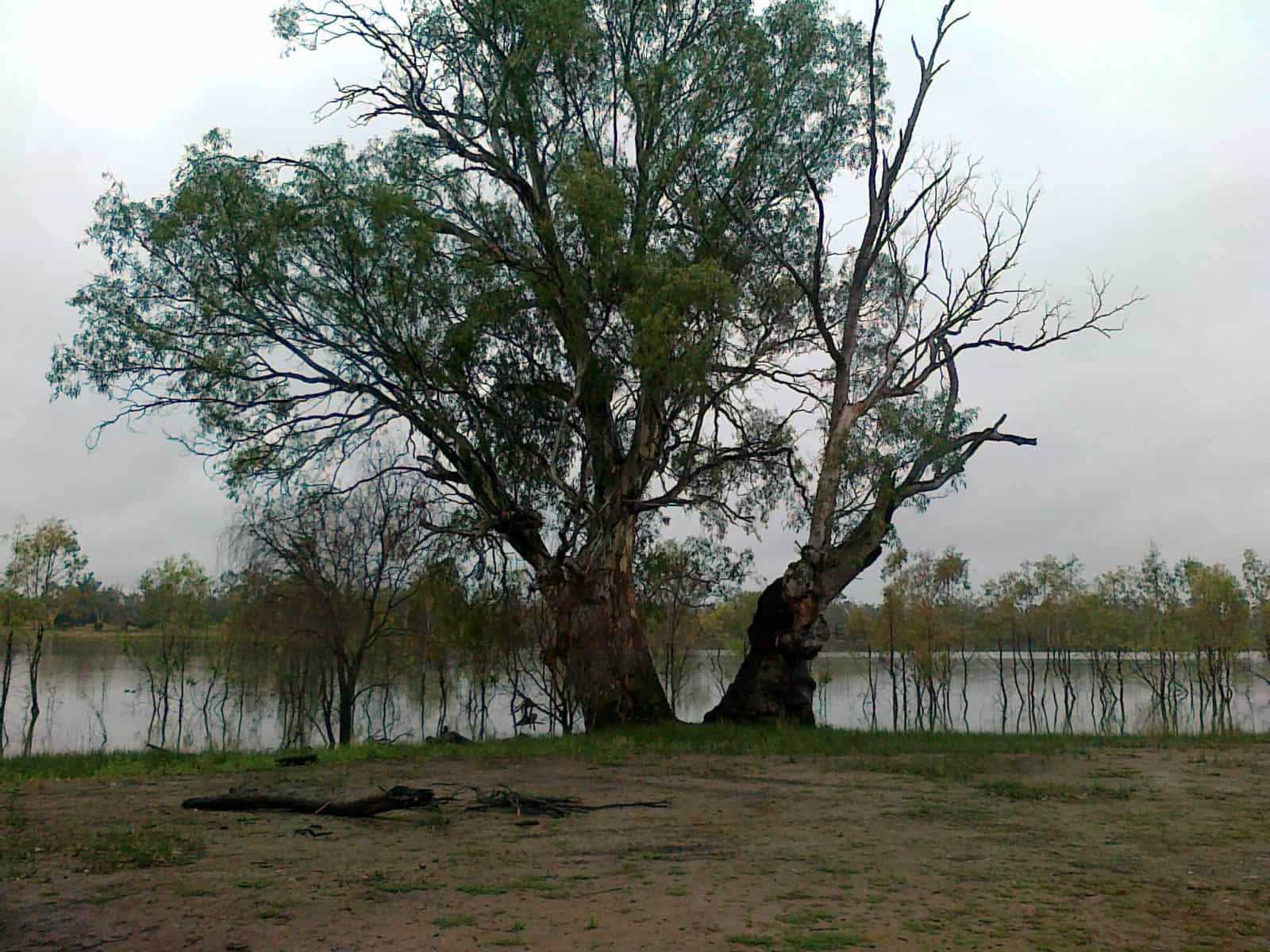 Morgan Conservation Park