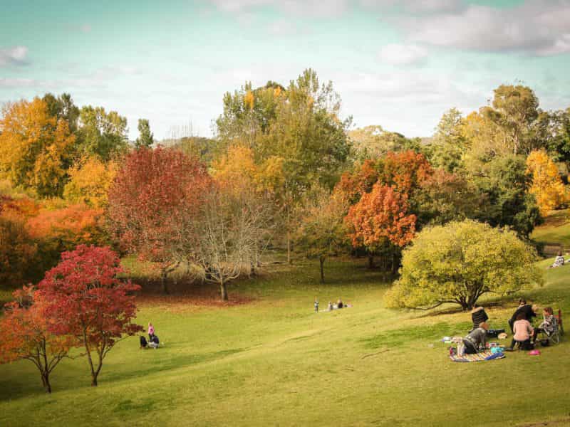 Mount Lofty Botanic Garden in autumn is one of the Adelaide Hills