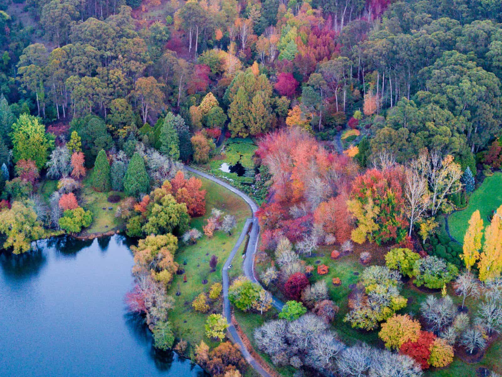 Mount Lofty Botanic Garden