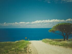 Road to Myponga Beach with great views on the way.