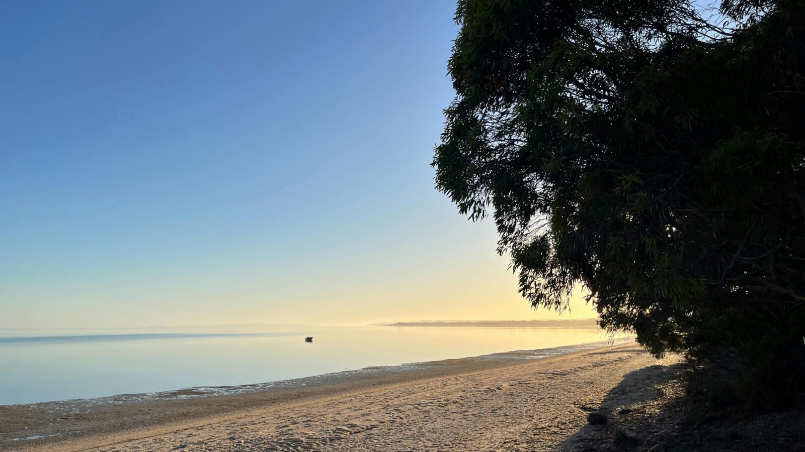 Nepean Bay at sunset