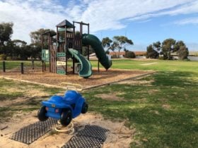 Newton Playground, Kadina