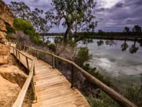 Ngaut Ngaut Conservation Park Boardwalk