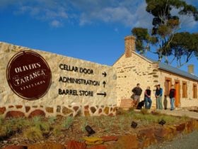 OT_cellar door