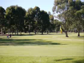 Penola Golf