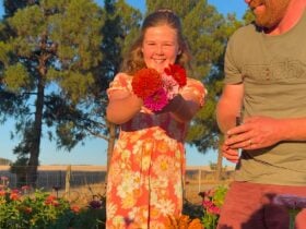 Pick Your Own Flowers