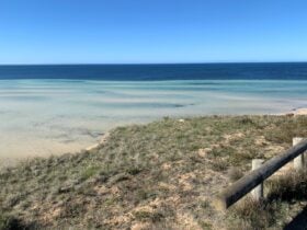 Pitts Cutting Lookout