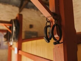 Police Lock up & Stables