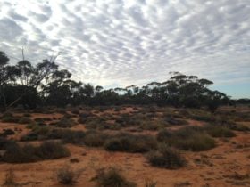 Pooginook Conservation Park