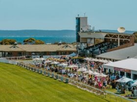 2024 New Years Eve Race meeting, over 2,000 guests through the gate