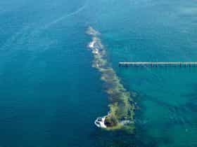 Port Noarlunga Reef Sanctuary Zone