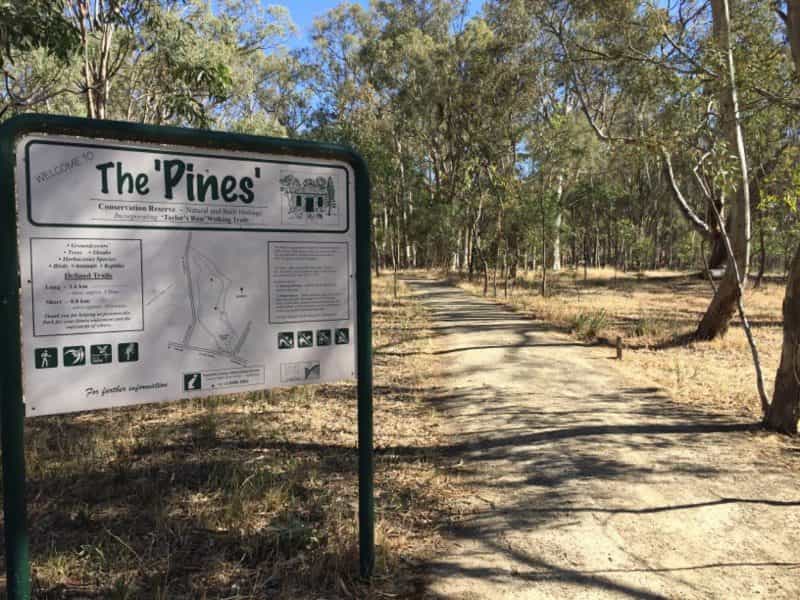 "The Pines" Conservation Reserve