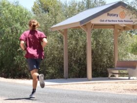 Rail Trail - Copper Coast, walking and cycling trail