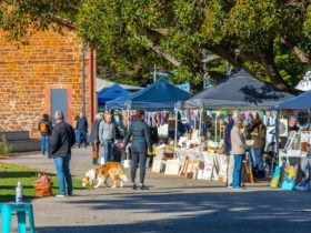 Railway Plaza the ideal setting for the Artisan Markets