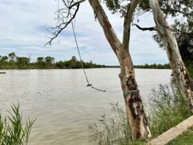 Rope swing