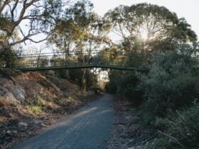 Rattler Trail Clare Valley Short Walks